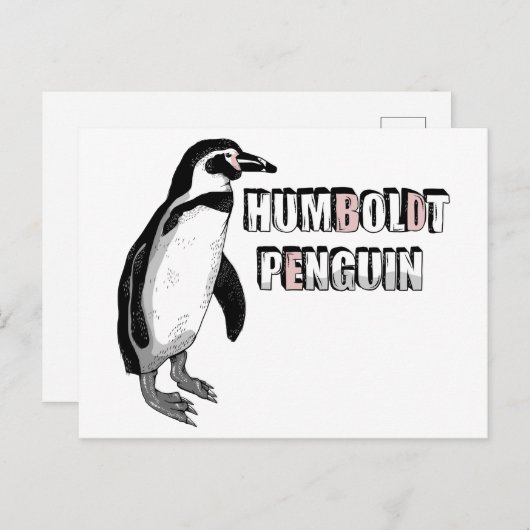 Humboldt-Pinguin Postkarte (Vorne/Hinten)