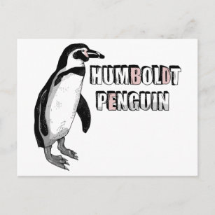Humboldt-Pinguin Postkarte