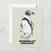 Humboldt-Pinguin Postkarte (Vorne/Hinten)