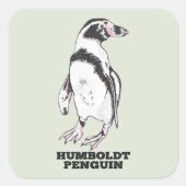 Humboldt-Pinguin Quadratischer Aufkleber (Vorderseite)