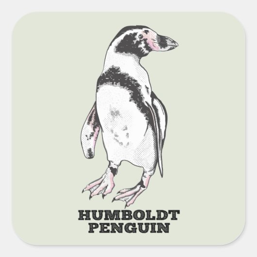 Humboldt-Pinguin Quadratischer Aufkleber (Vorderseite)