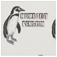 Humboldt-Pinguin