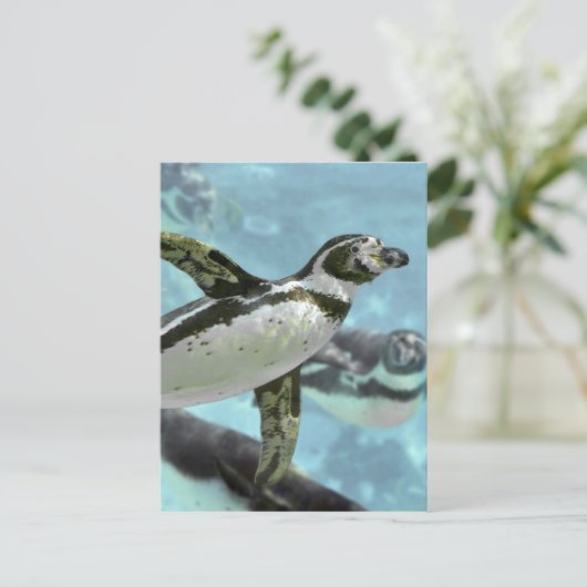 Humboldt-Pinguin unter Wasser Postkarte (Stehend Vorderseite)