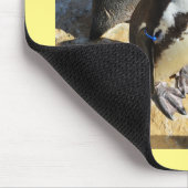 Humboldt-Pinguine Mousepad (Ecke)