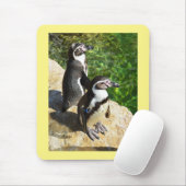 Humboldt-Pinguine Mousepad (Mit Mouse)