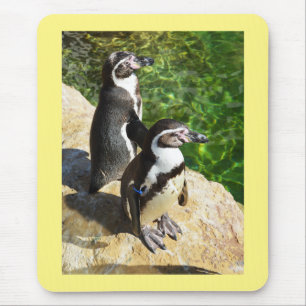 Humboldt-Pinguine Mousepad