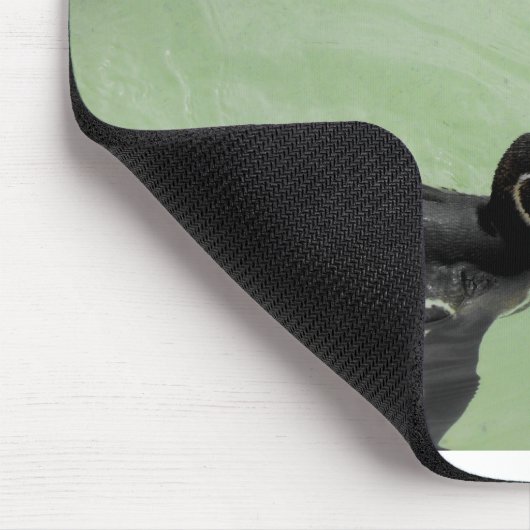 Humboldt-Pinguine Mousepad (Ecke)