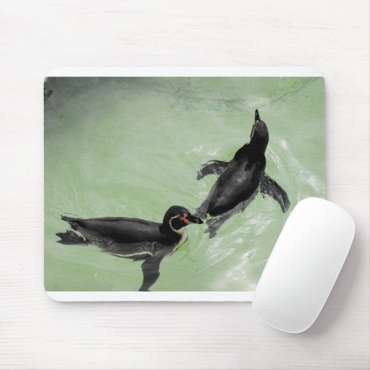 Humboldt-Pinguine Mousepad (Mit Mouse)