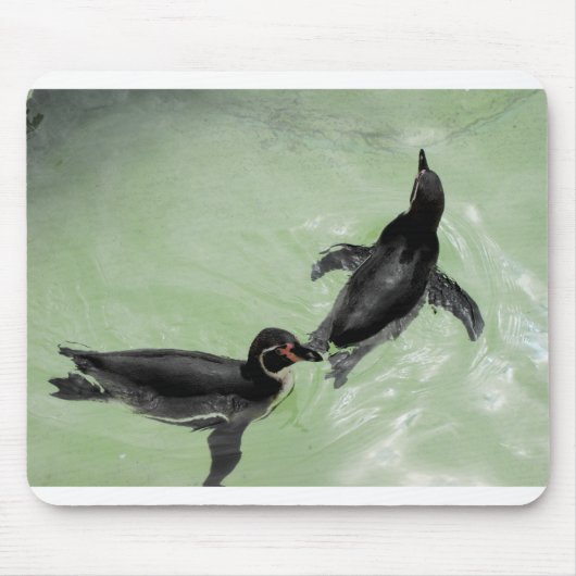 Humboldt-Pinguine Mousepad (Vorne)