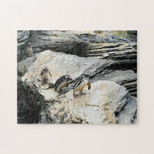 Humboldt-Pinguine. Puzzle (Horizontal)
