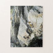 Humboldt-Pinguine. Puzzle (Vertikal)