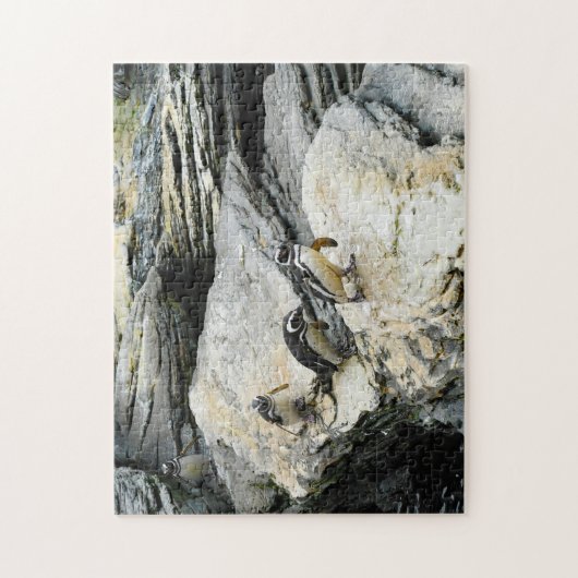 Humboldt-Pinguine. Puzzle (Vertikal)