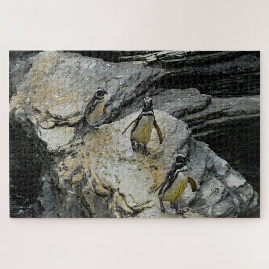 Humboldt-Pinguine. Puzzle (Horizontal)