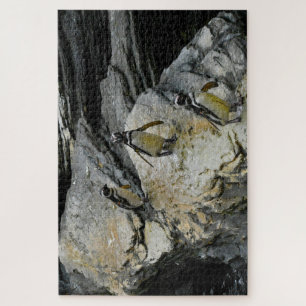 Humboldt-Pinguine. Puzzle