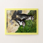 Humboldt-Pinguine Puzzle (Horizontal)