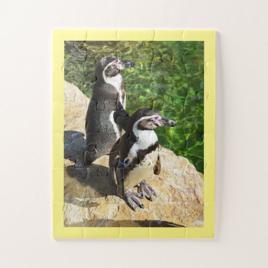 Humboldt-Pinguine Puzzle (Vertikal)