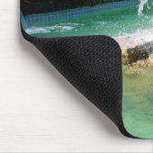 Humboldt-Pinguine und Brunnen Mousepad (Ecke)