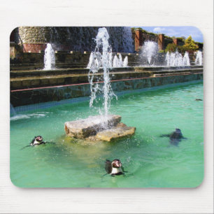 Humboldt-Pinguine und Brunnen Mousepad
