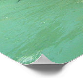 Humboldt-Pinguine und -Brunnen Poster (Ecke)