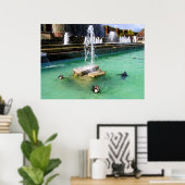 Humboldt-Pinguine und -Brunnen Poster (Heimbüro)