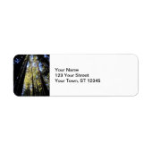 Humboldt Redwoods Staat Park (Vorne)