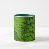 Humboldt Redwoods Staat Park Tasse (Zentrum)