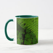 Humboldt Redwoods Staat Park Tasse (Links)