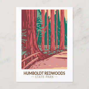 Humboldt Redwoods State Park Avenue of the Giants Postkarte
