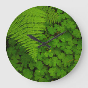 Humboldt Redwoods State Park Große Wanduhr