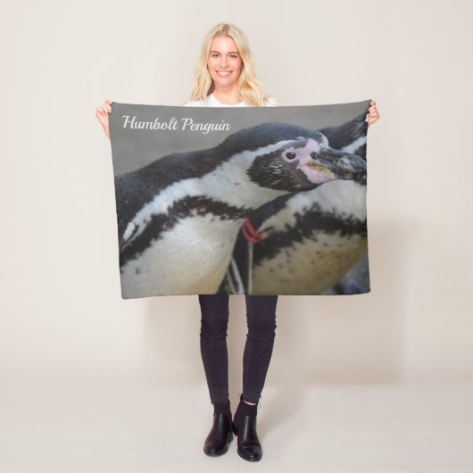 Humbolzen Penguin im Zoo von Drusillas in East Sus Fleecedecke (Beispiel)