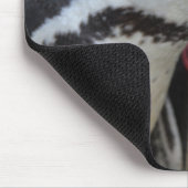 Humbolzen Penguin im Zoo von Drusillas in East Sus Mousepad (Ecke)