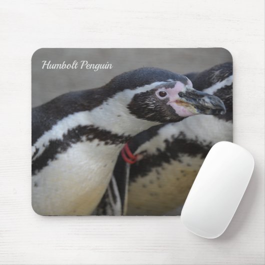 Humbolzen Penguin im Zoo von Drusillas in East Sus Mousepad (Mit Mouse)