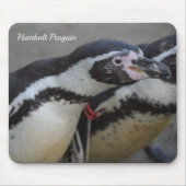 Humbolzen Penguin im Zoo von Drusillas in East Sus Mousepad (Vorne)
