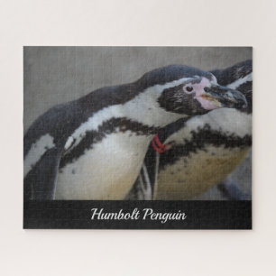 Humbolzen Penguin im Zoo von Drusillas in East Sus Puzzle