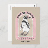Humbolzenpinguin Postkarte (Vorne/Hinten)