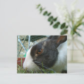 Humbug-Hase-Postkarte Postkarte (Stehend Vorderseite)