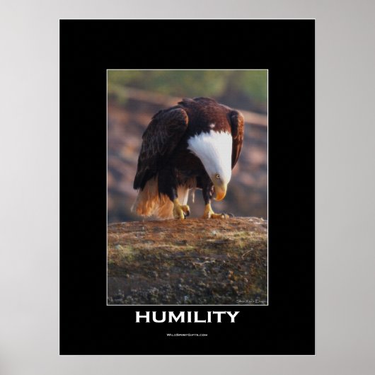 HUMILITY Bald Eagle Motivierend Poster (Vorne)