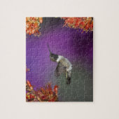 Humingbird, Archilochus alexandri, Puzzle (Vertikal)
