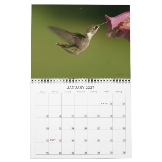 Humingbirds - 2010 kalender (Jan 2027)