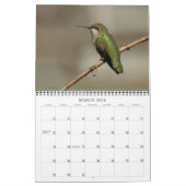 Humingbirds - 2010 kalender (Mär 2026)