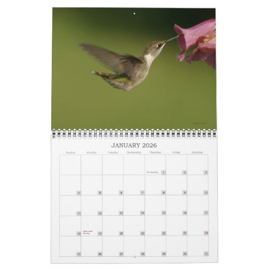 Humingbirds - 2010 kalender (Jan 2026)
