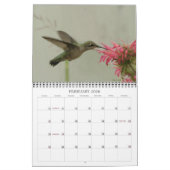 Humingbirds - 2010 kalender (Feb 2026)