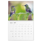 Humingbirds Fotografy 2023 Kalender (Mär 2027)