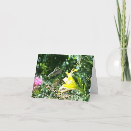 Humingvogel 5 karte (Vorderseite)