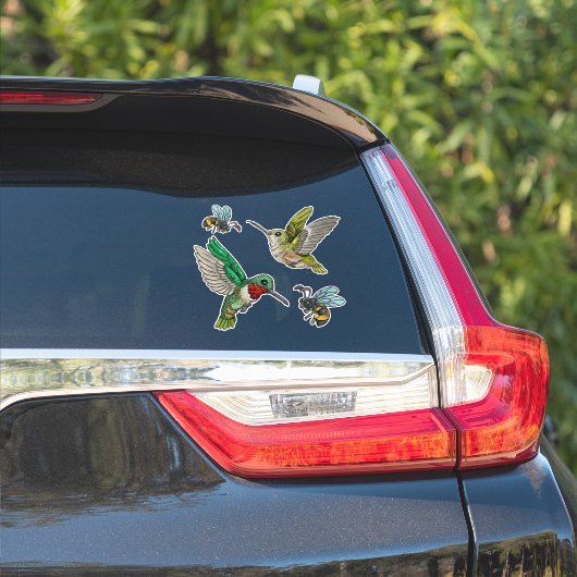 Humingvögel und Bienen Aufkleber (Auto Seite)
