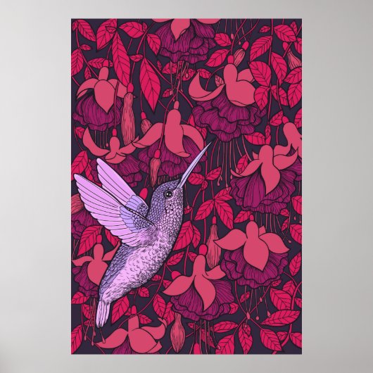 Humingvogel und Fuchsienviolett Poster (Vorne)