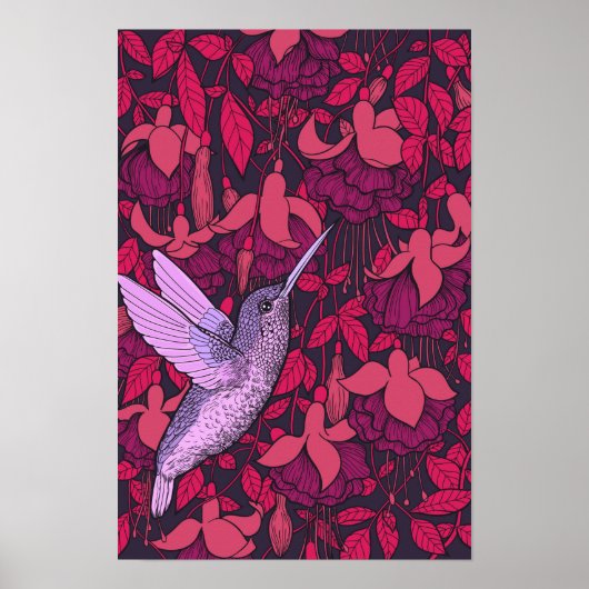 Humingvogel und Fuchsienviolett Poster (Vorne)