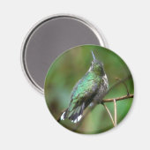 Humm, eine Erholung nehmen Magnet (Vorderseite/Rückseite)