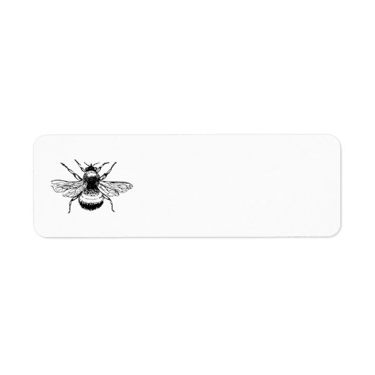 Hummel (Vorne)