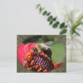 Hummel 195 ~ Postkarte (Stehend Vorderseite)